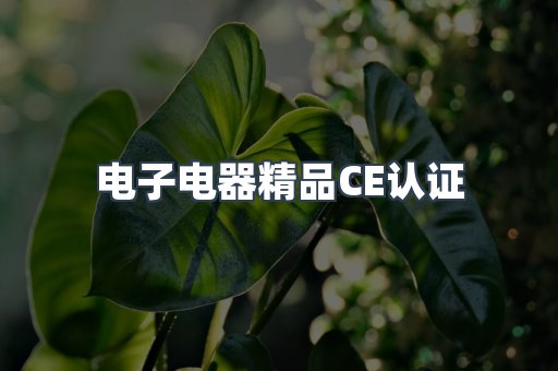 口罩防护类系列CE认证