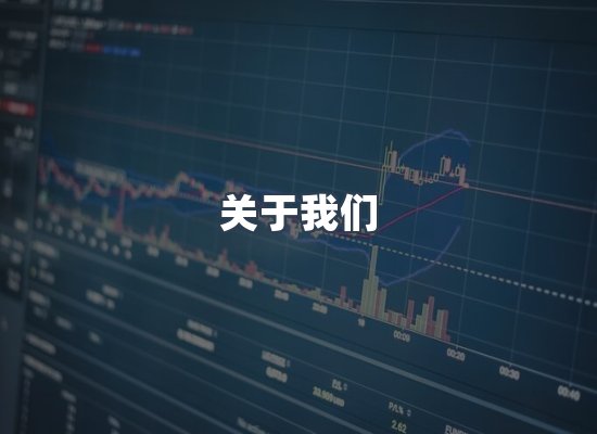专业团队